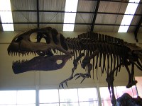 dinosaurios en la patagonia